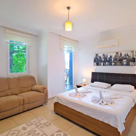 Willa Amber 4 Plus 3 With Pool,sauna And Billiards In Fethiye