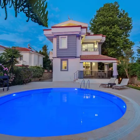 Amber 4 Plus 3 With Pool,sauna And Billiards In Vilă Fethiye