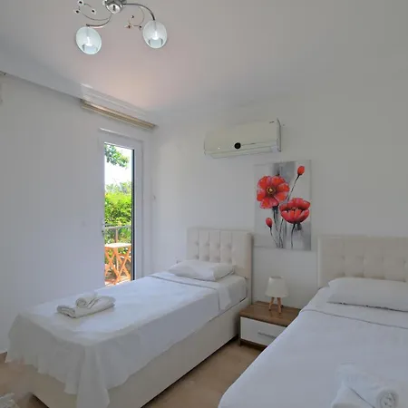 Villa Amber 4 Plus 3 With Pool,sauna And Billiards In