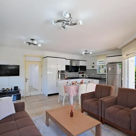 Amber 4 Plus 3 With Pool,sauna And Billiards In Villa
