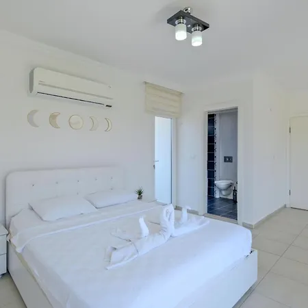 Amber 4 Plus 3 With Pool,sauna And Billiards In Villa *